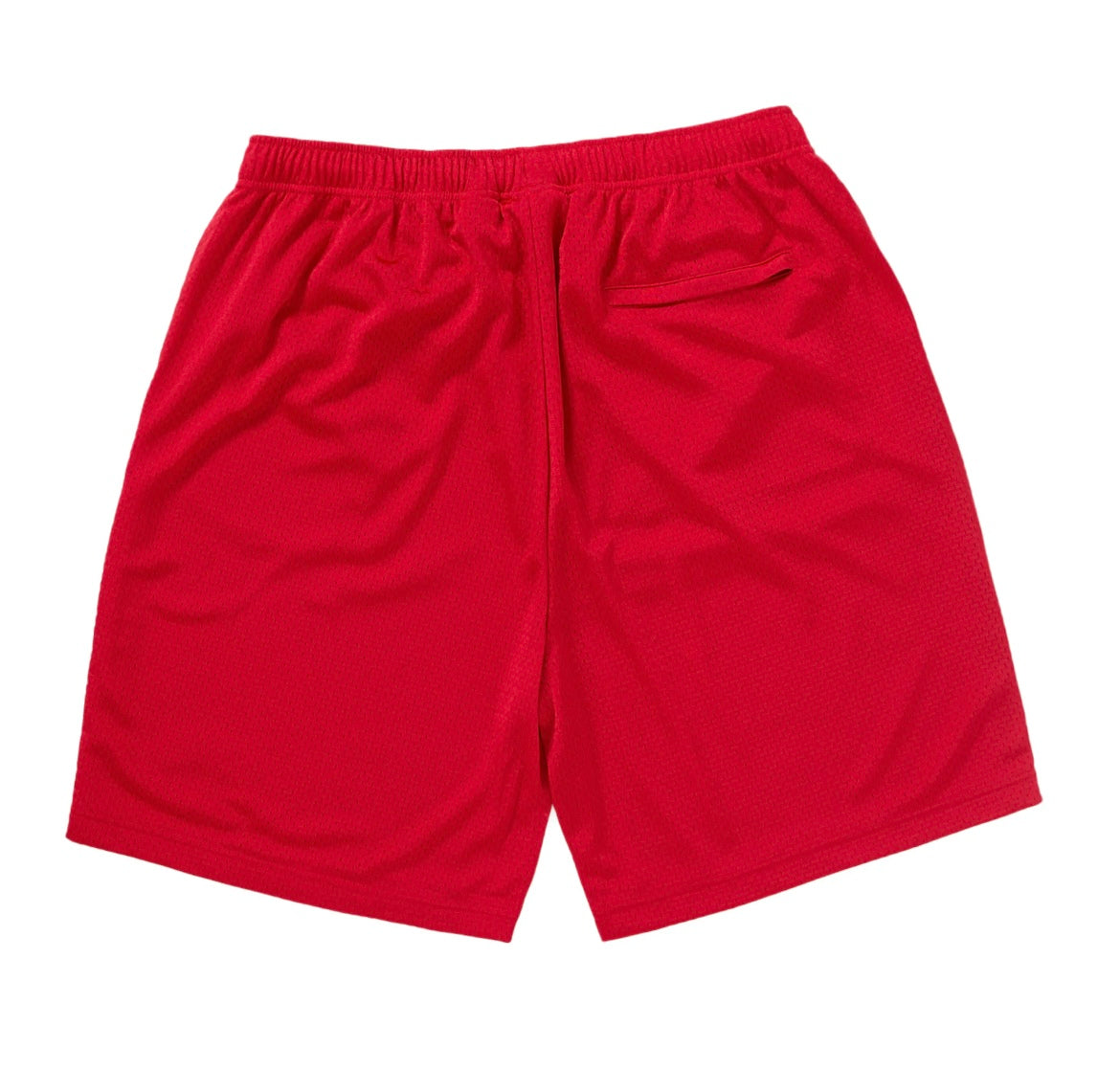 Supreme x Champion Mesh Shorts