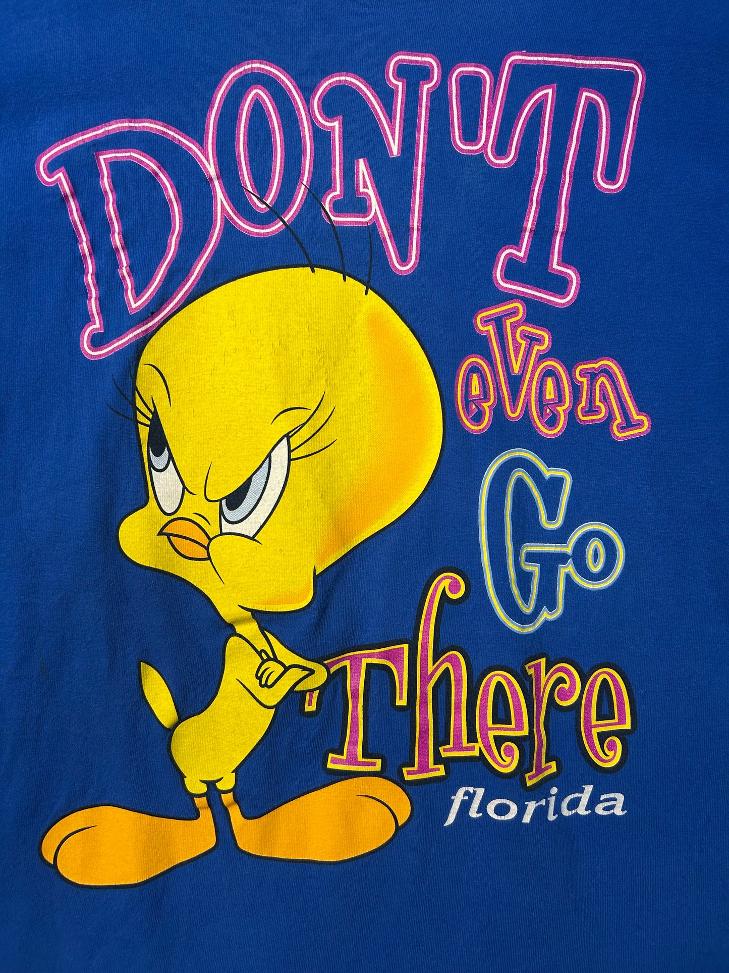 Vintage 1997 Looney Tunes Tweety Bird Don’t even Go There Tee