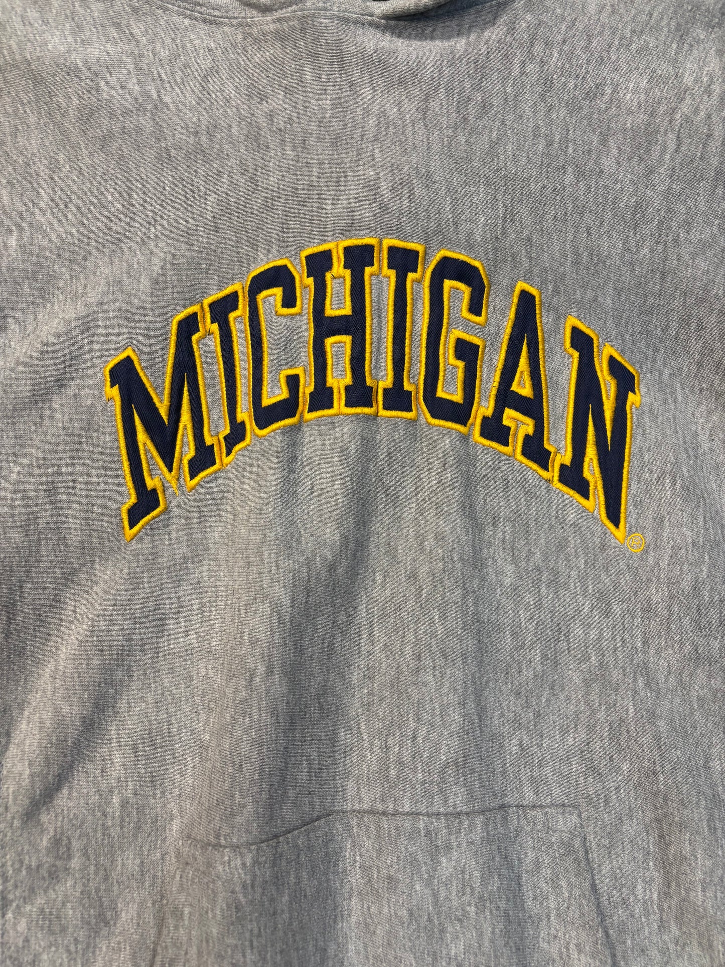 Y2K University of Michigan Hoodie