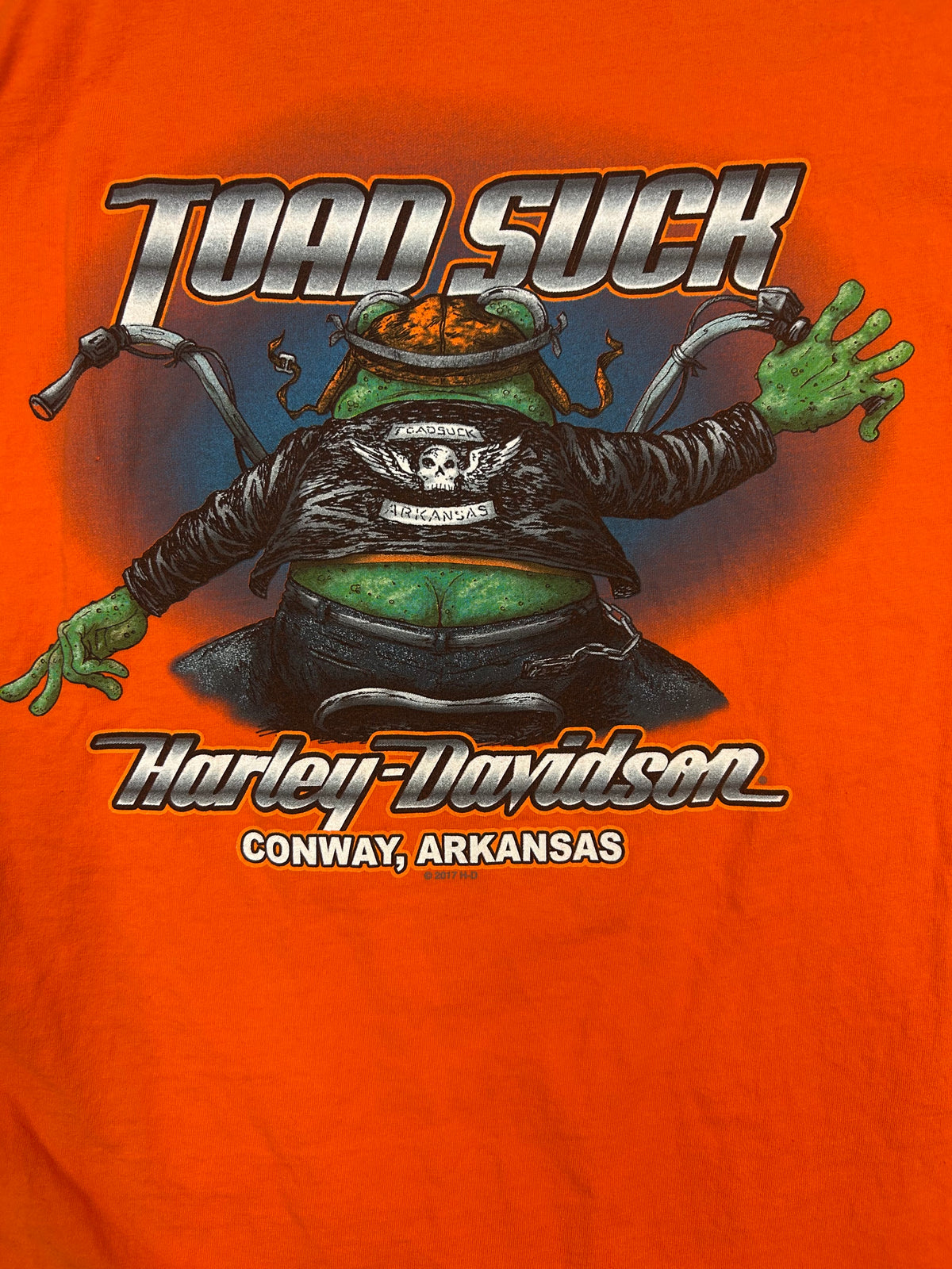 Y2K Harley Davidson Toads Suck Conway Arkansas Tee