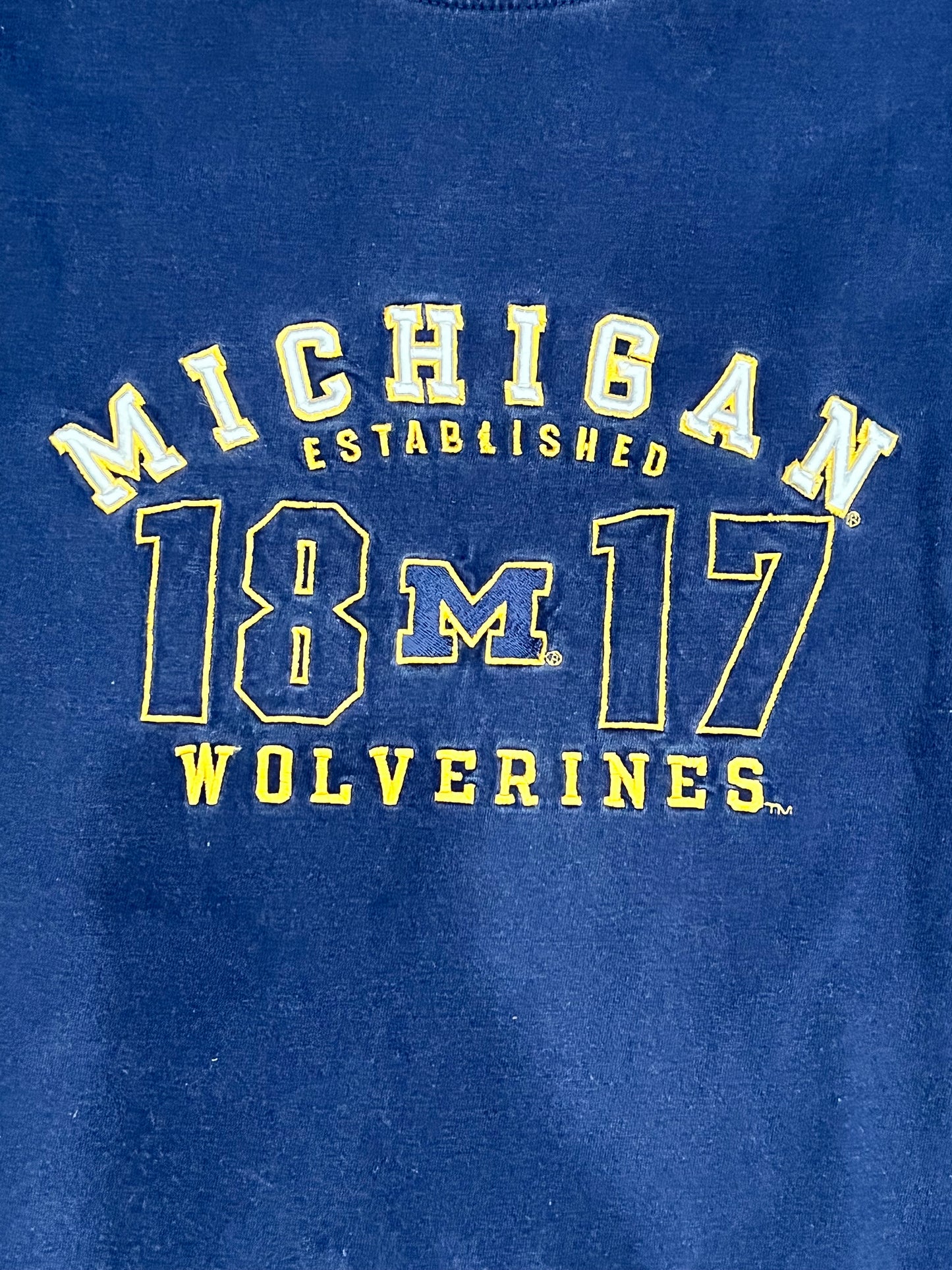 Vintage Michigan Wolverines Tee