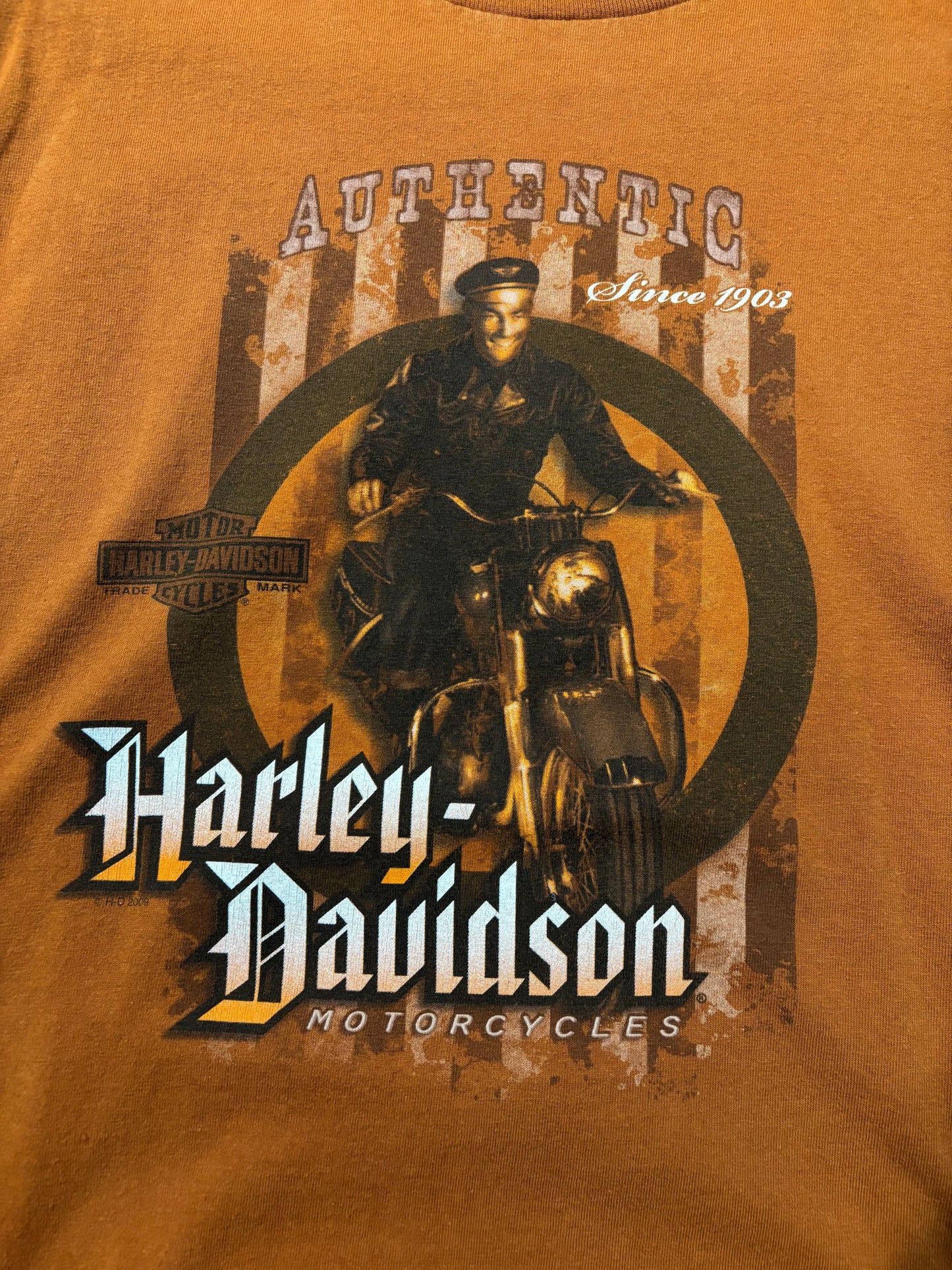 Vintage Harley Davidson London, KY wildcats tee