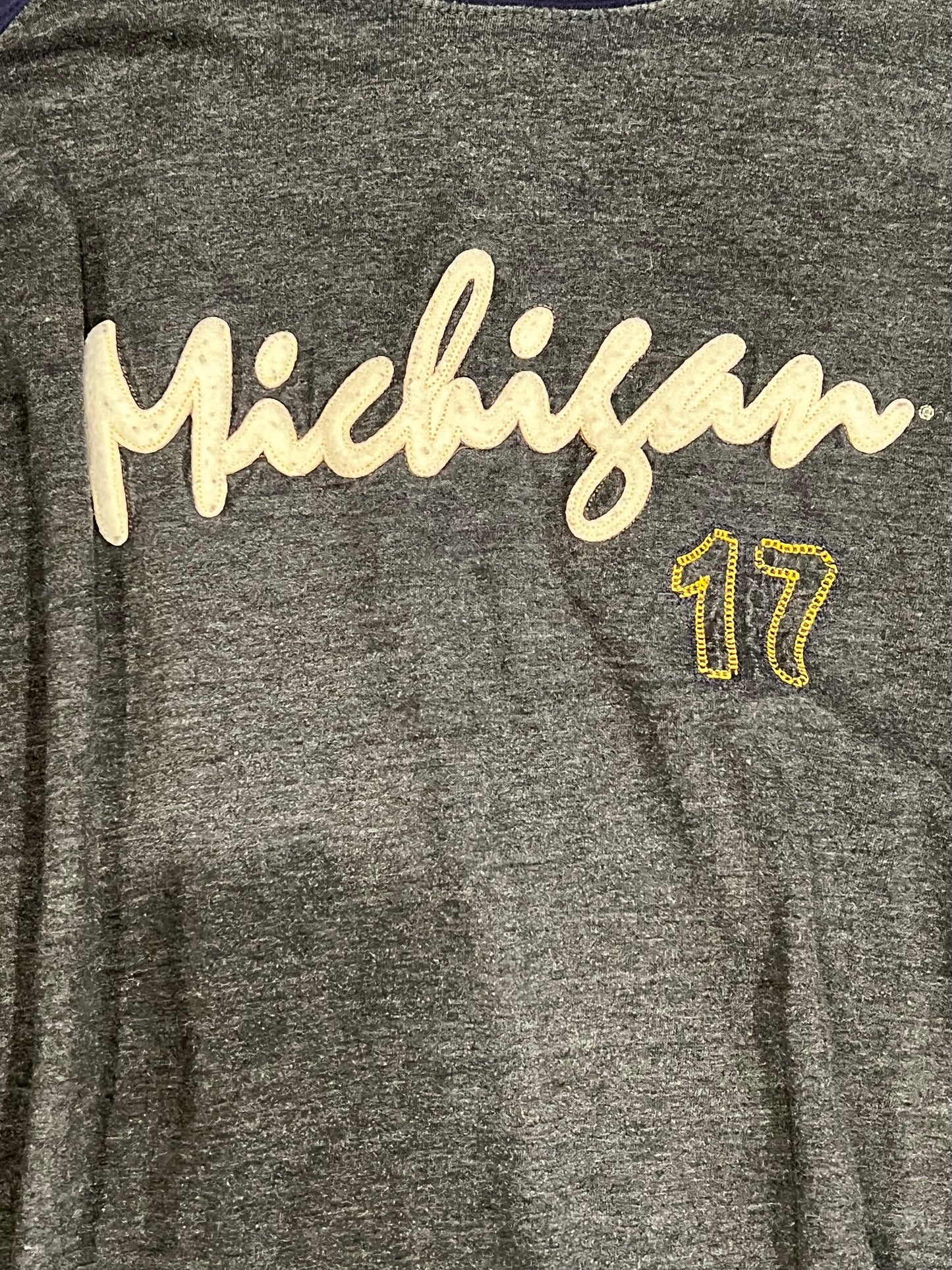 Vintage Michigan Tee