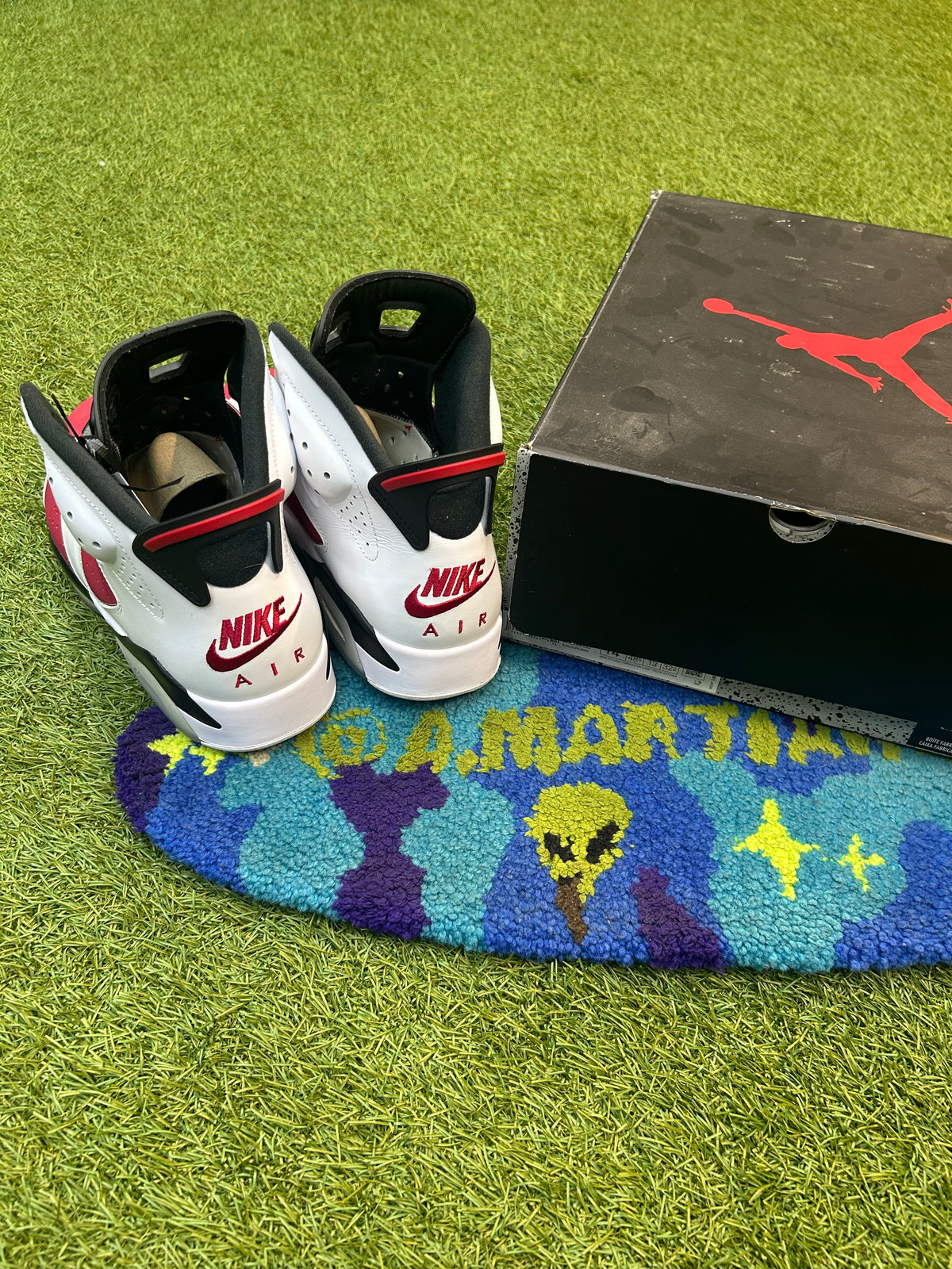 Retro Jordan 6 Carmine