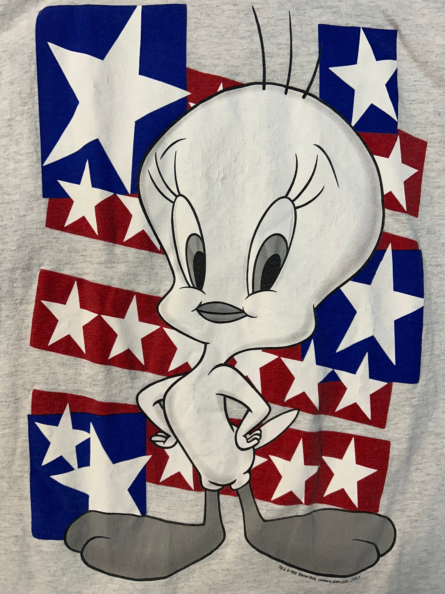 Vintage 1995 Tweety Bird American Flag Big Logo Tee