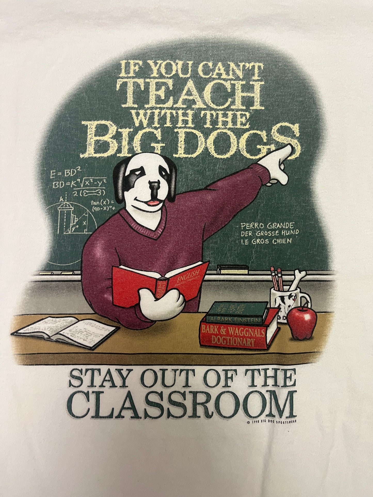 Vintage 1998 Big Dog Stay Out Of The Classroom Tee