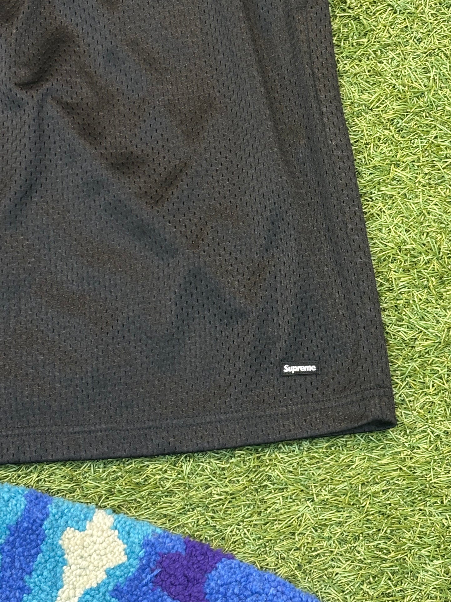 Supreme Small Box Logo Mesh Shorts