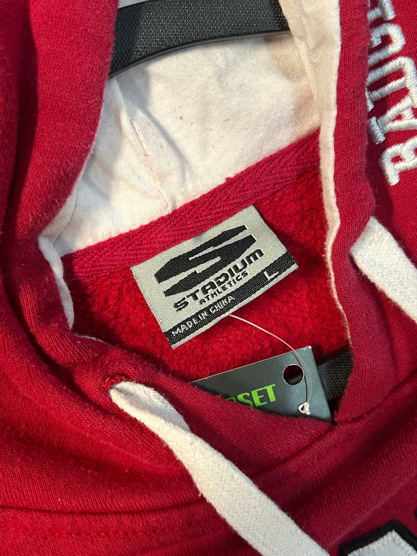 Y2K Wisconsin Badgers University Hoodie