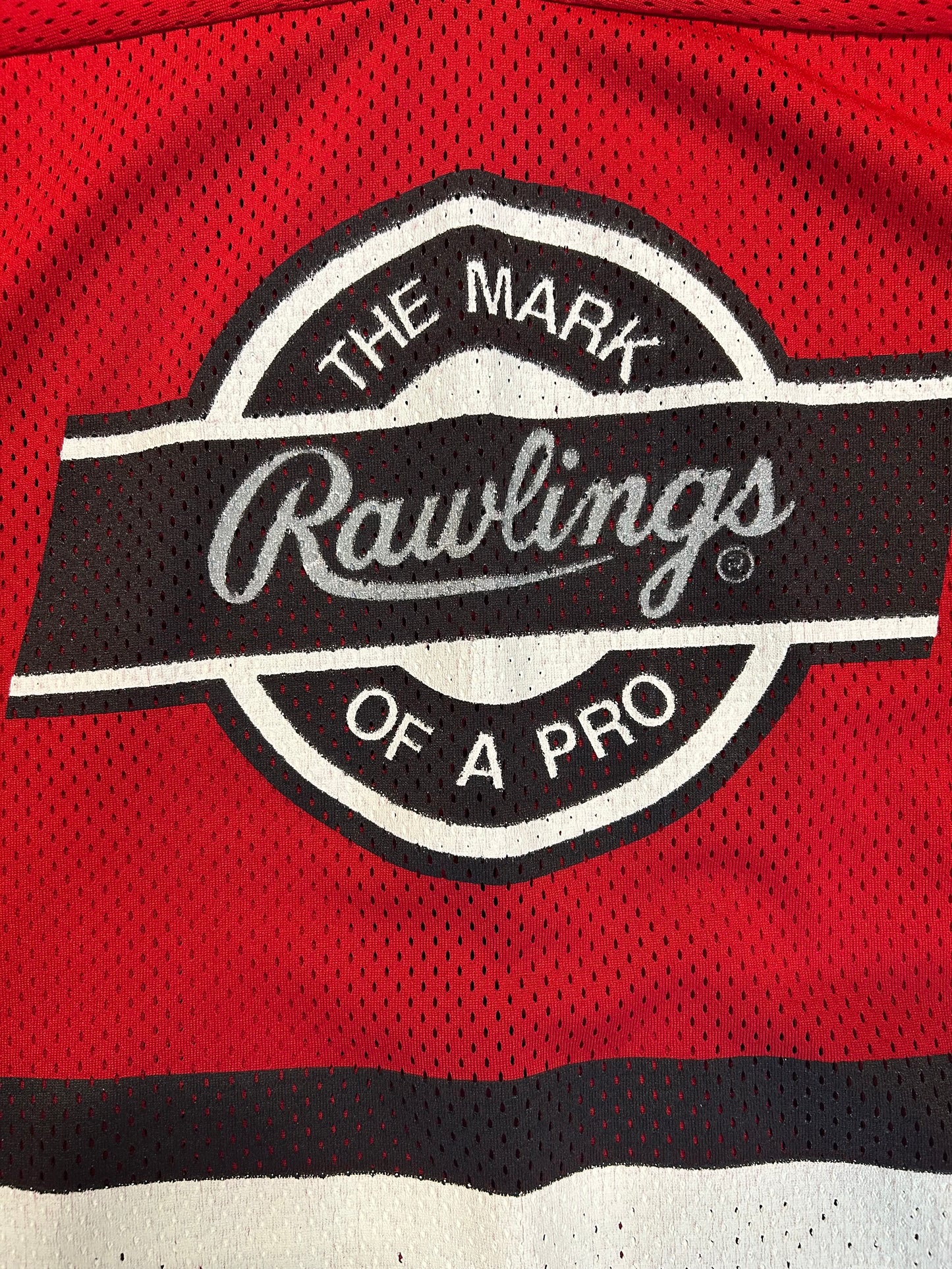 Rawlings Hockey Jersey