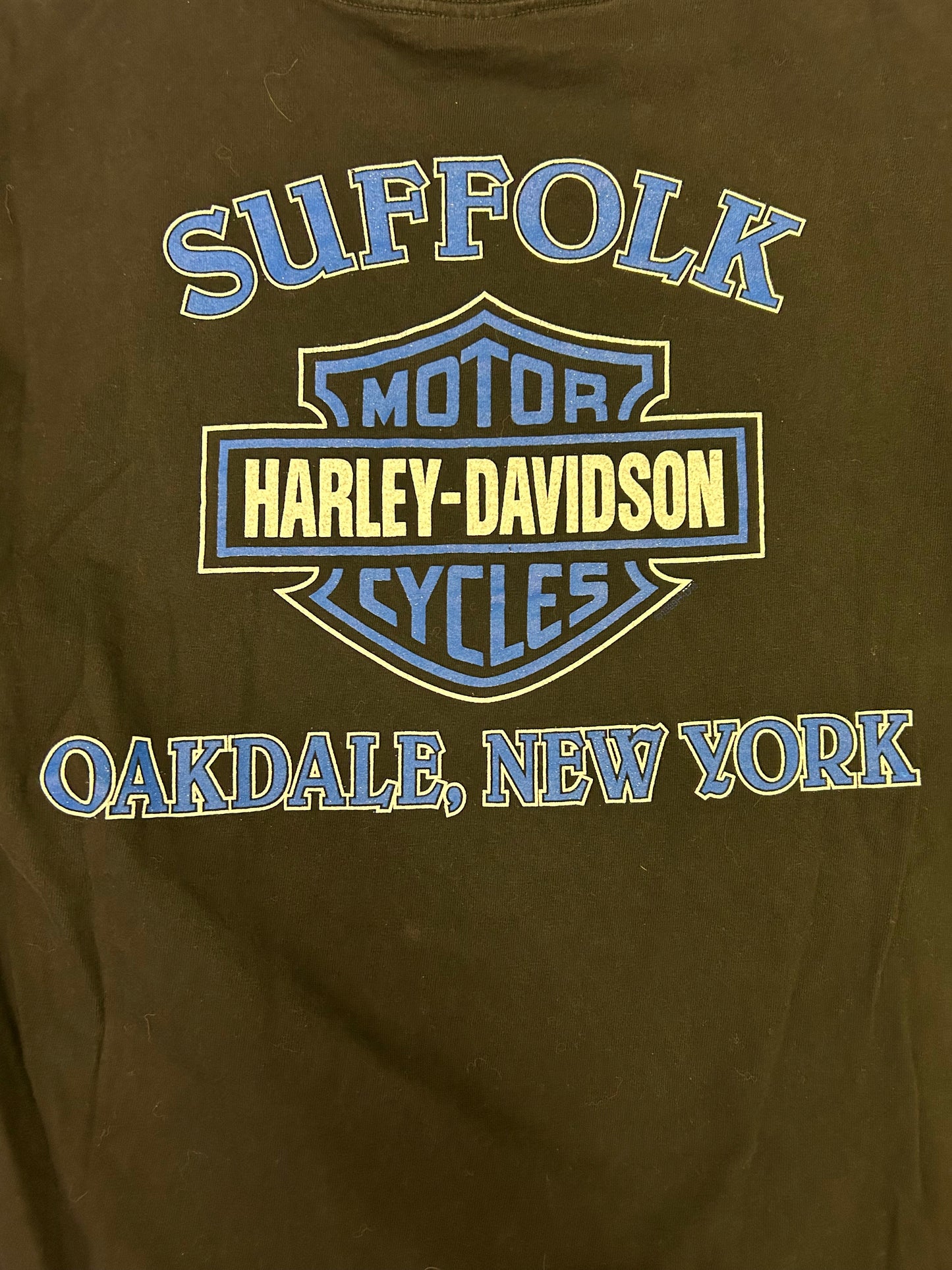 Vintage 1999 Fathead Harley Davidson Oakdale, New York Tee