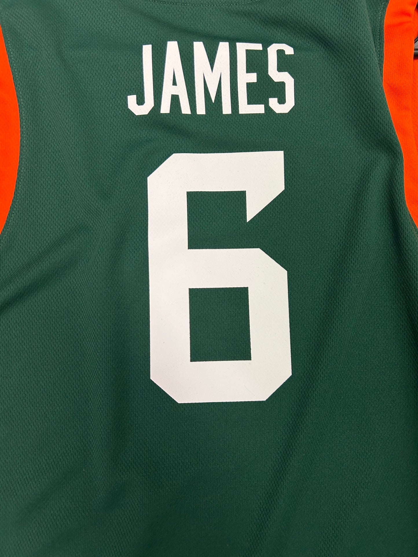 Lebron James Rattlers #6 Jersey