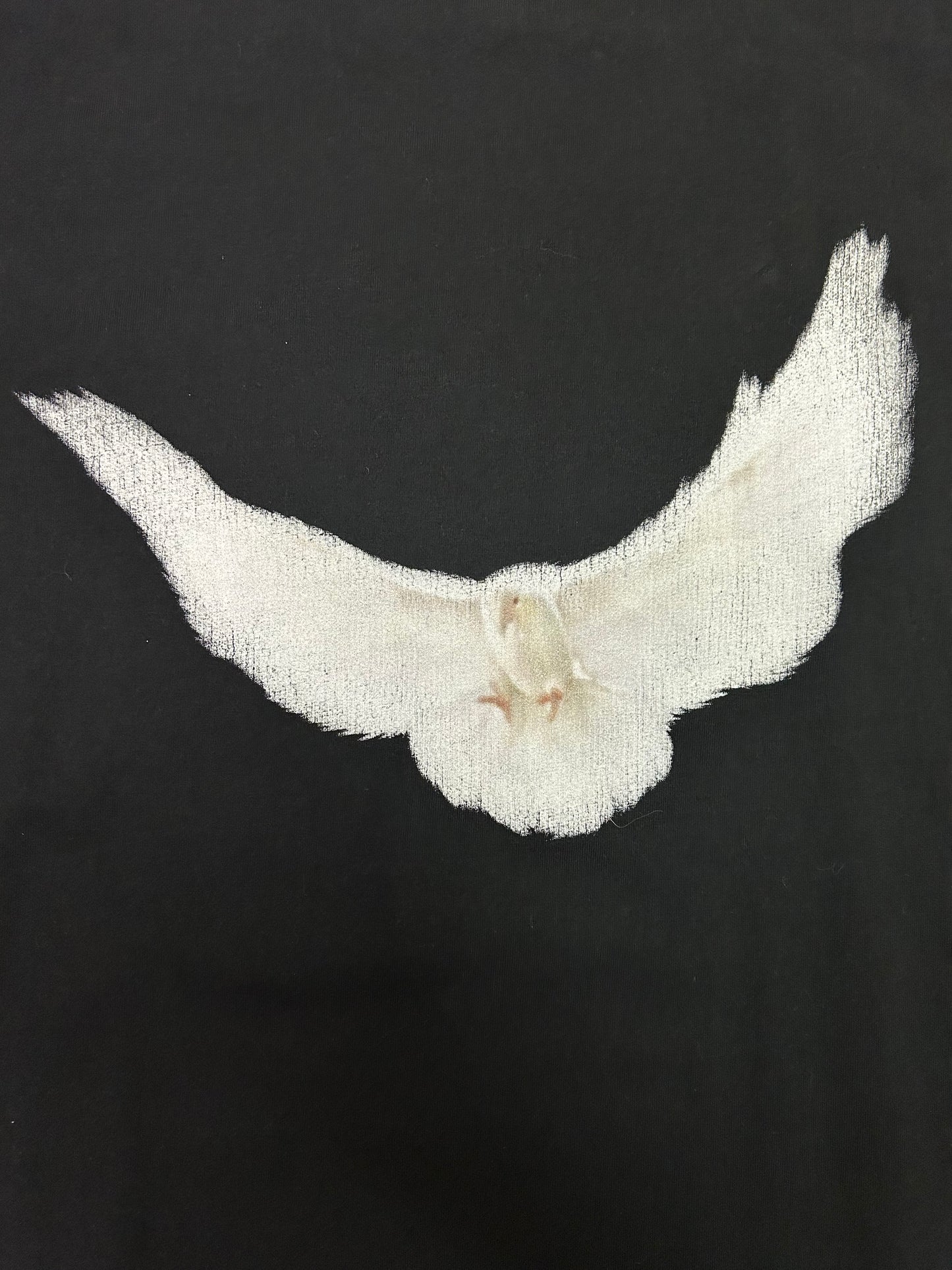 Yeezy Gap Dove Tee