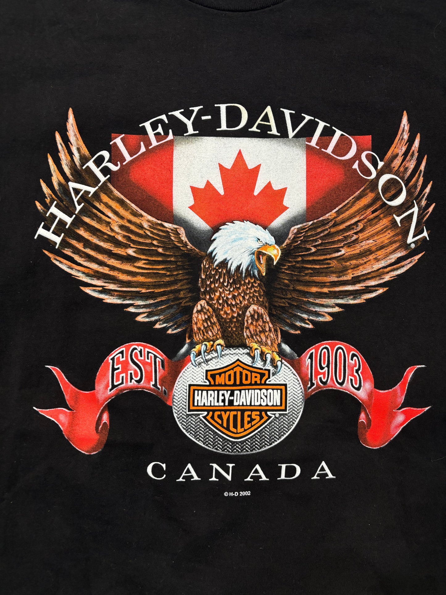 2002 Harley Davidson Canadian Eagle Tee
