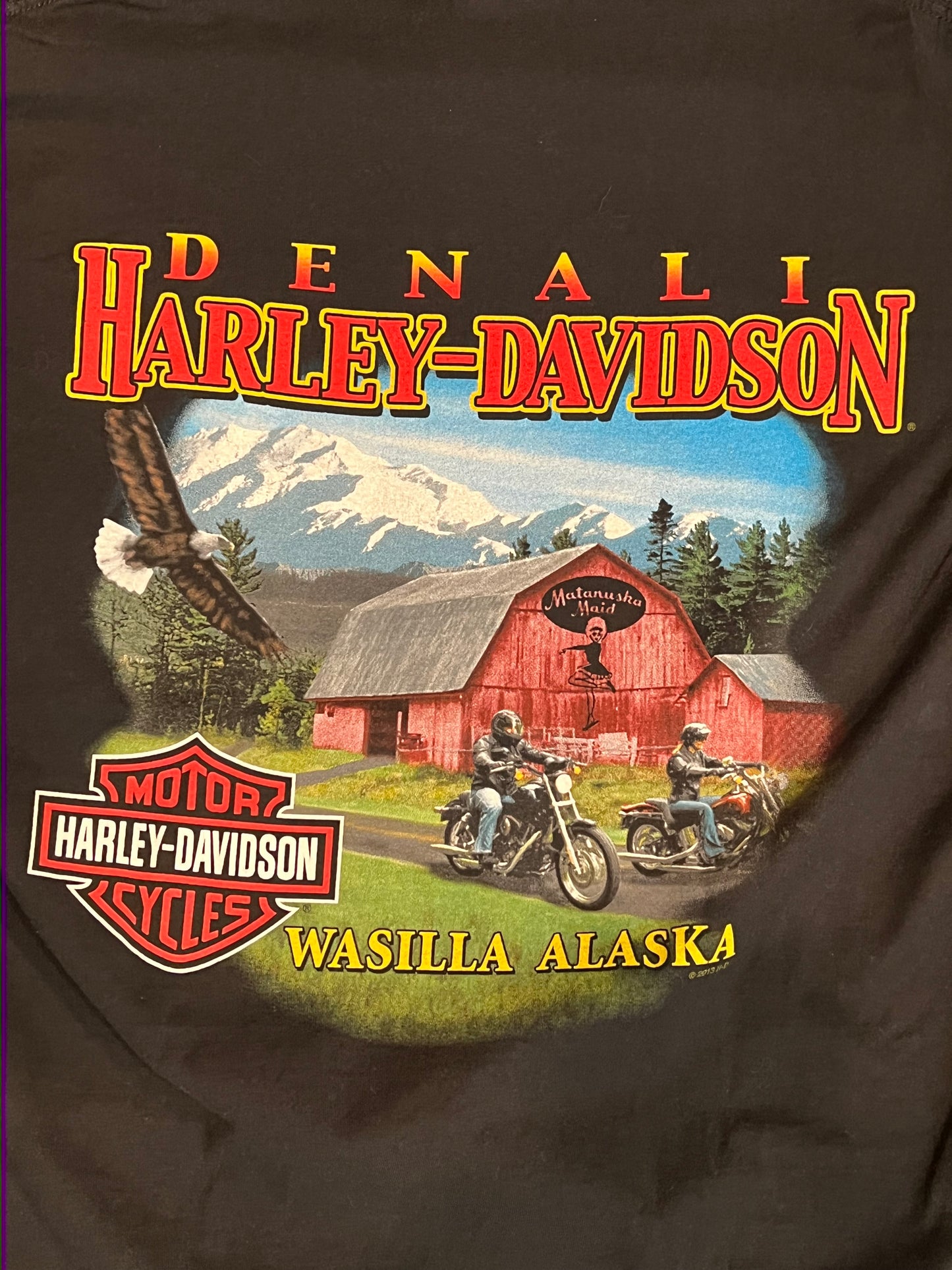 Vintage Harley Davidson “Alaska” Tee