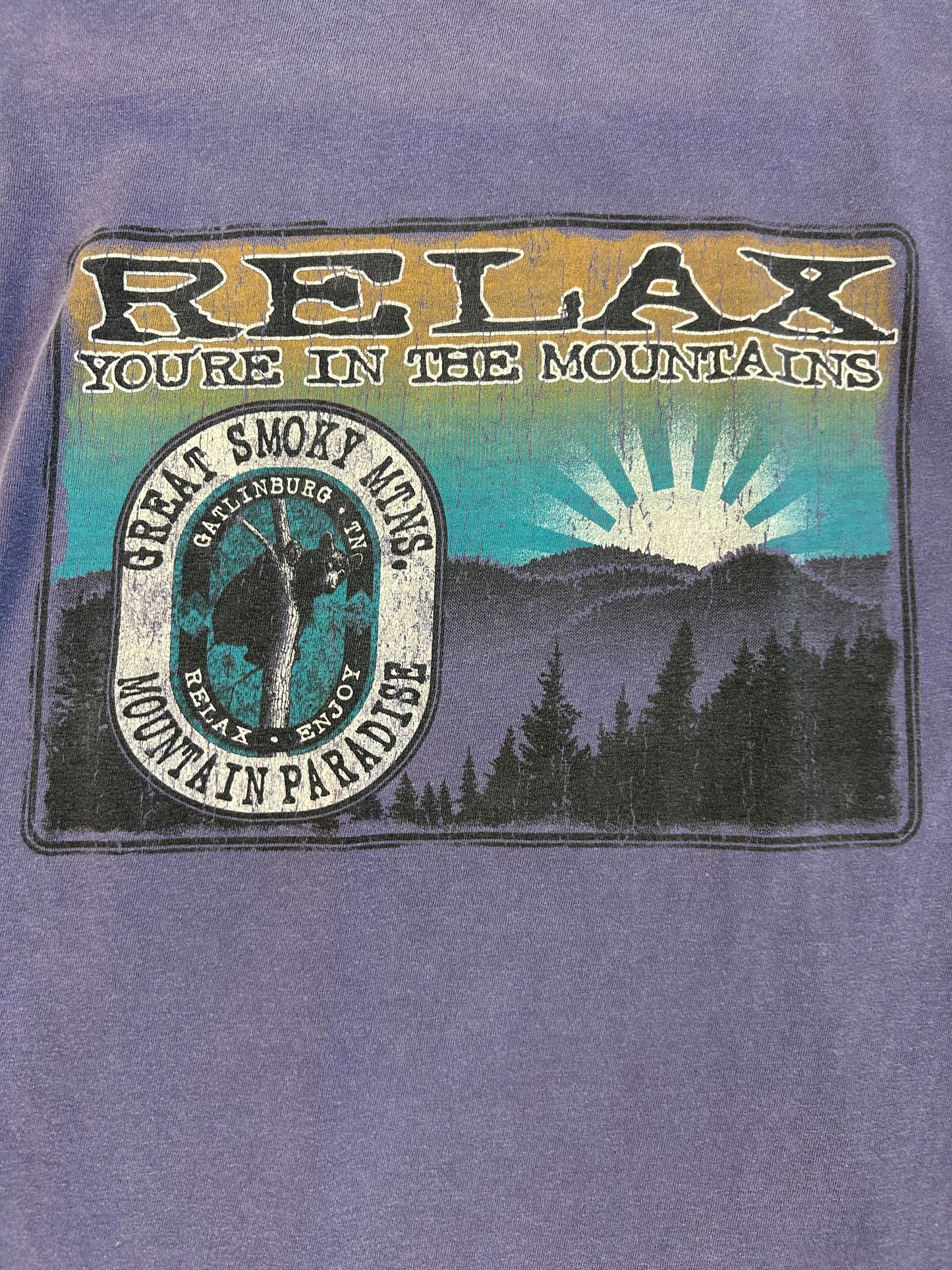 New Age Comfort Colors Great Smokey Mountains L/S