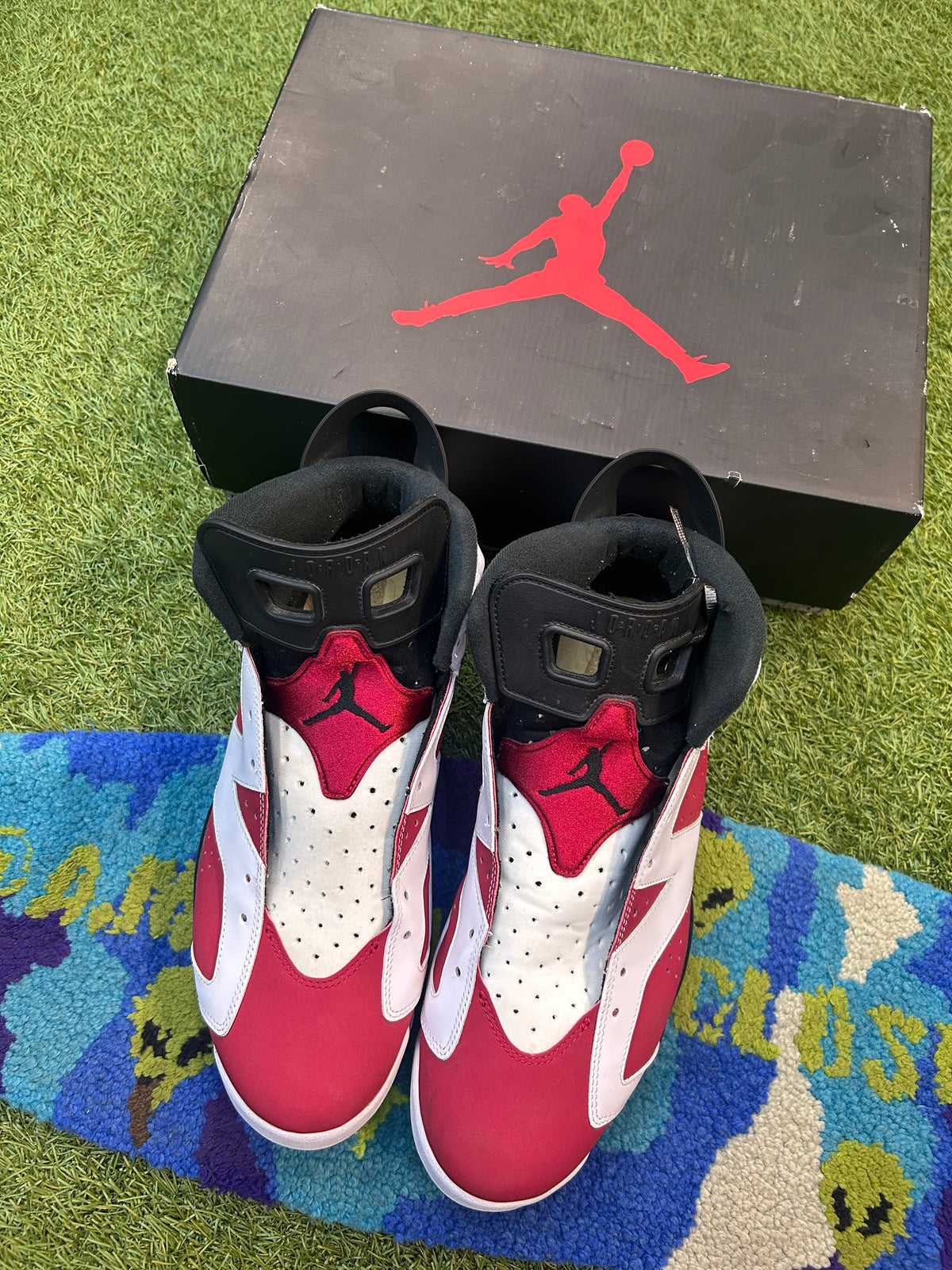 Retro Jordan 6 Carmine
