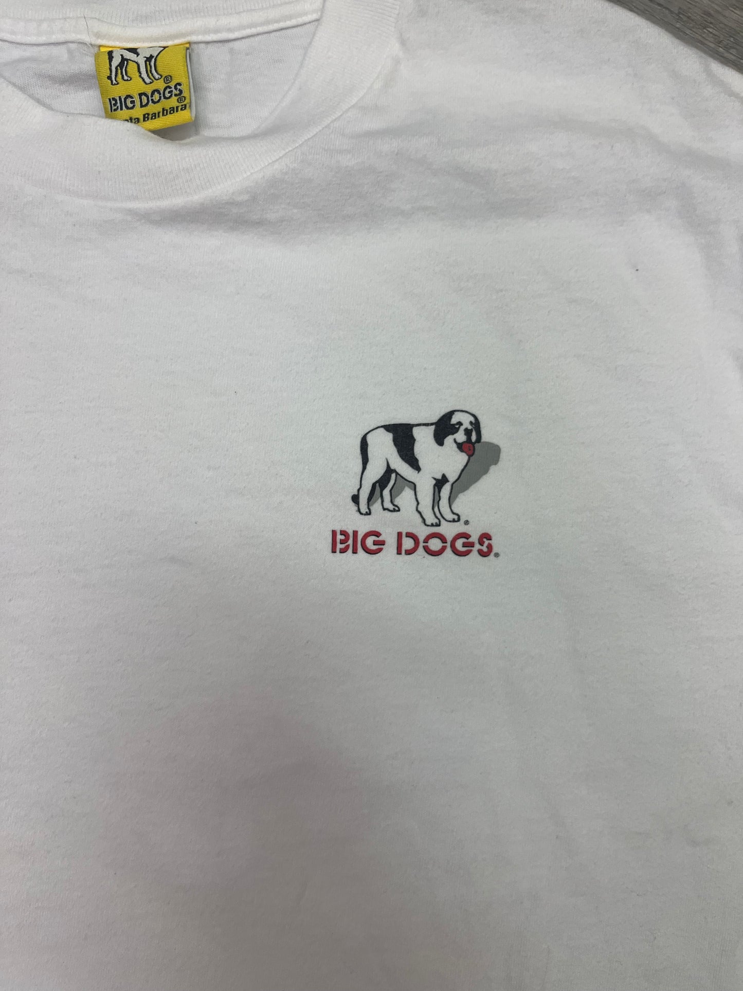 Vintage 1998 Big Dog Stay Out Of The Classroom Tee