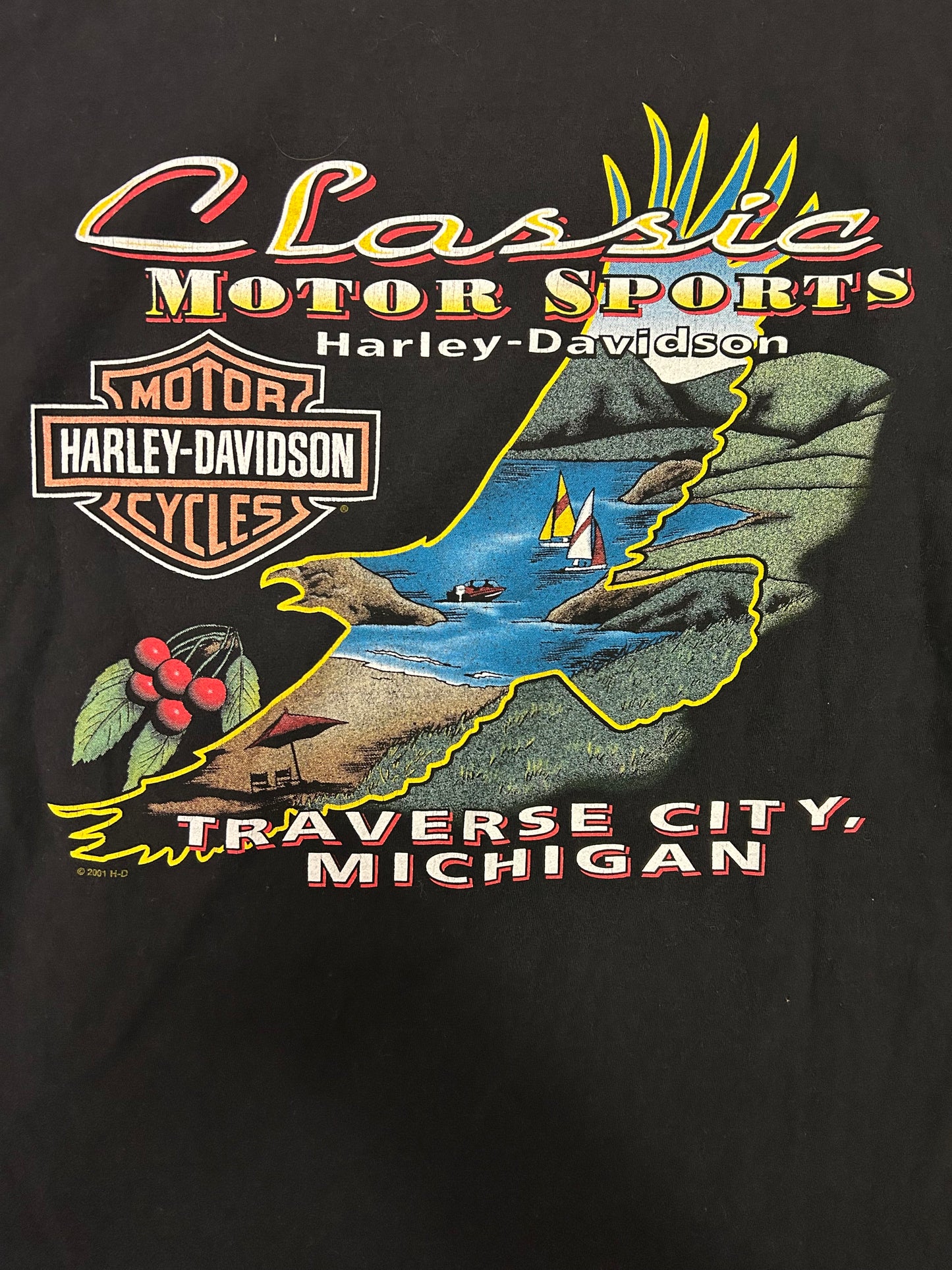 Vintage Harley Davidson Traverse City Michigan Tee