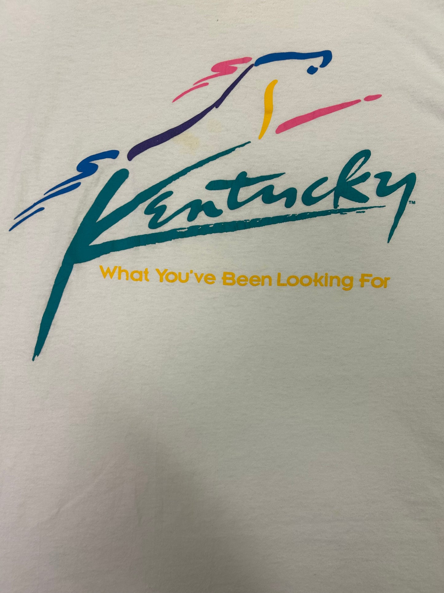 Vintage What You’ve Been Looking For Tee