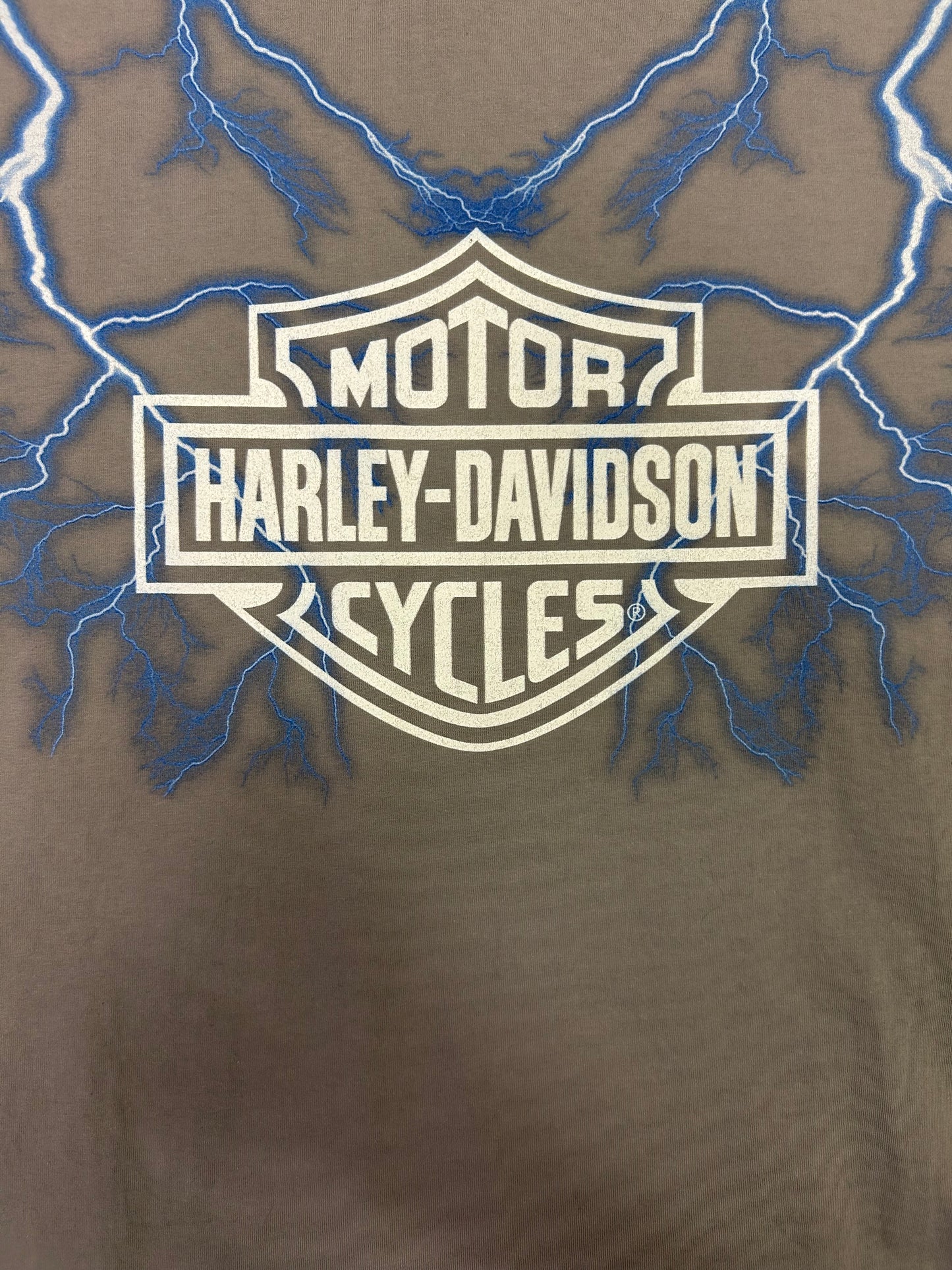 Rare Harley Davidson X Neighborhood Lighting Bolts Tee