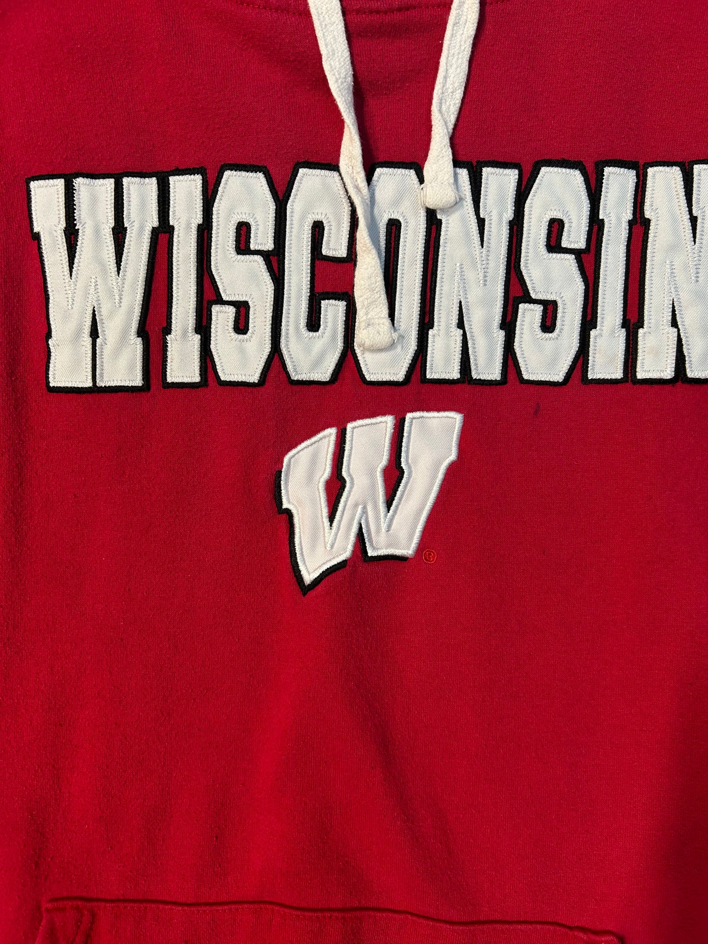 Y2K Wisconsin Badgers University Hoodie