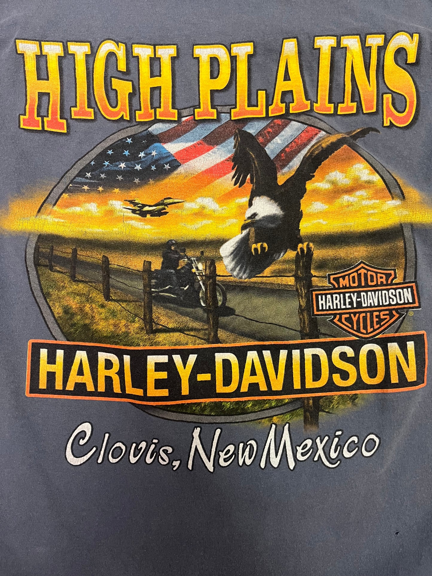 Vintage 90s Harley Davidson High Plains Clousie,New Mexico