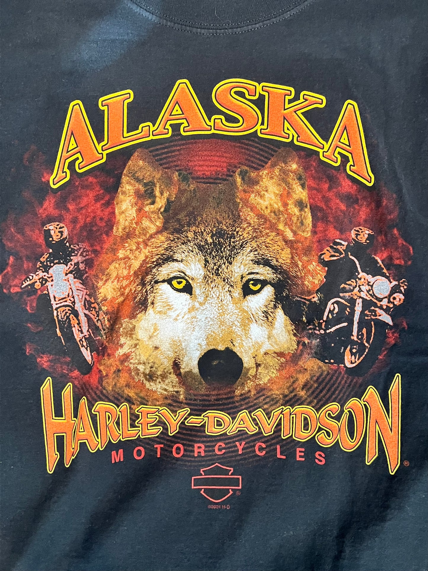 Vintage Harley Davidson “Alaska” Tee