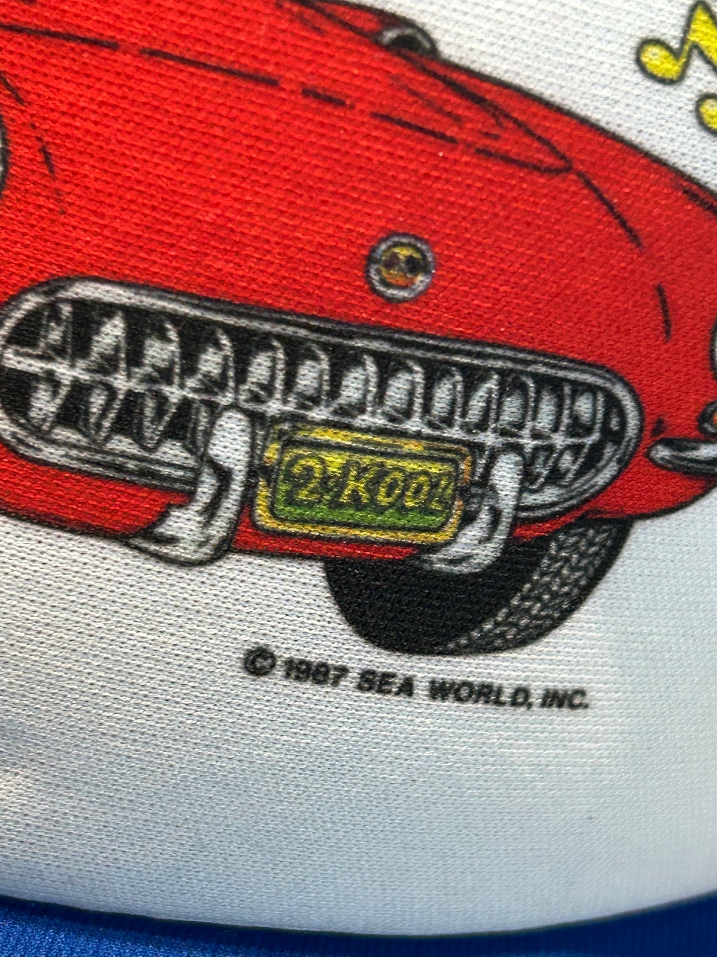 Vintage 1987 Born To Cruise Sea World Snapback