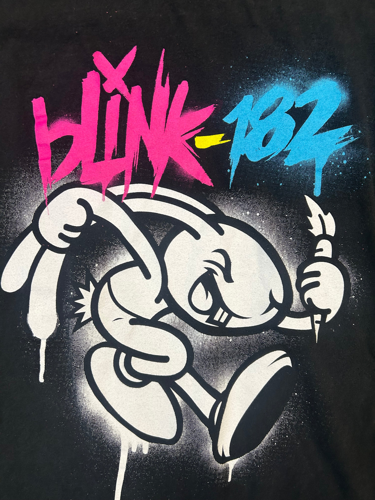 2011 Blink 182 Tour Tee