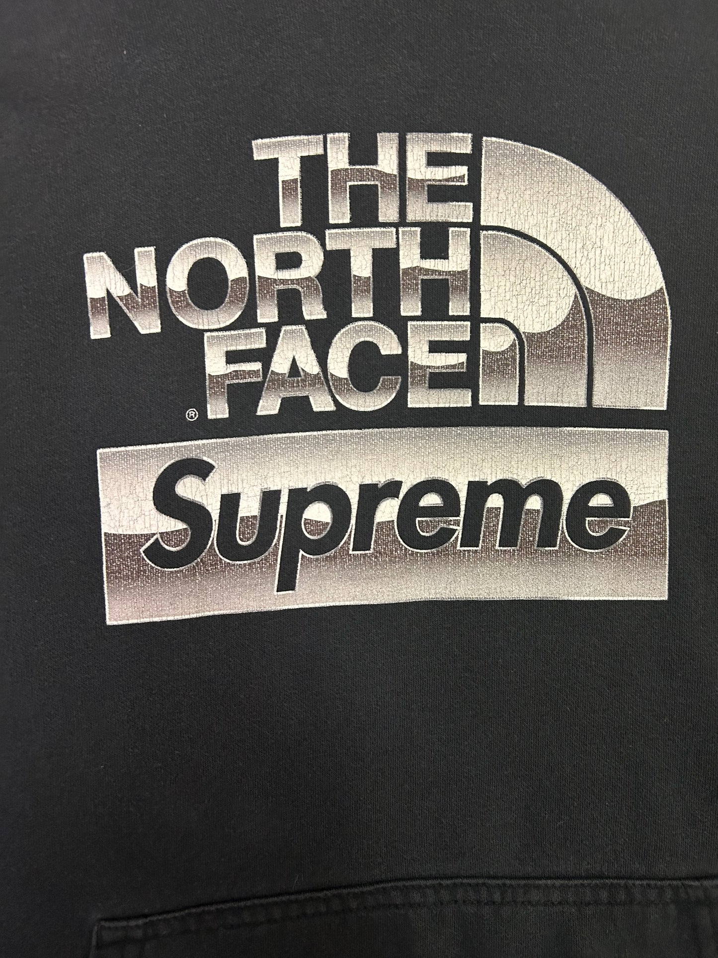 Supreme X The North Face Metallic Logo Hoodie