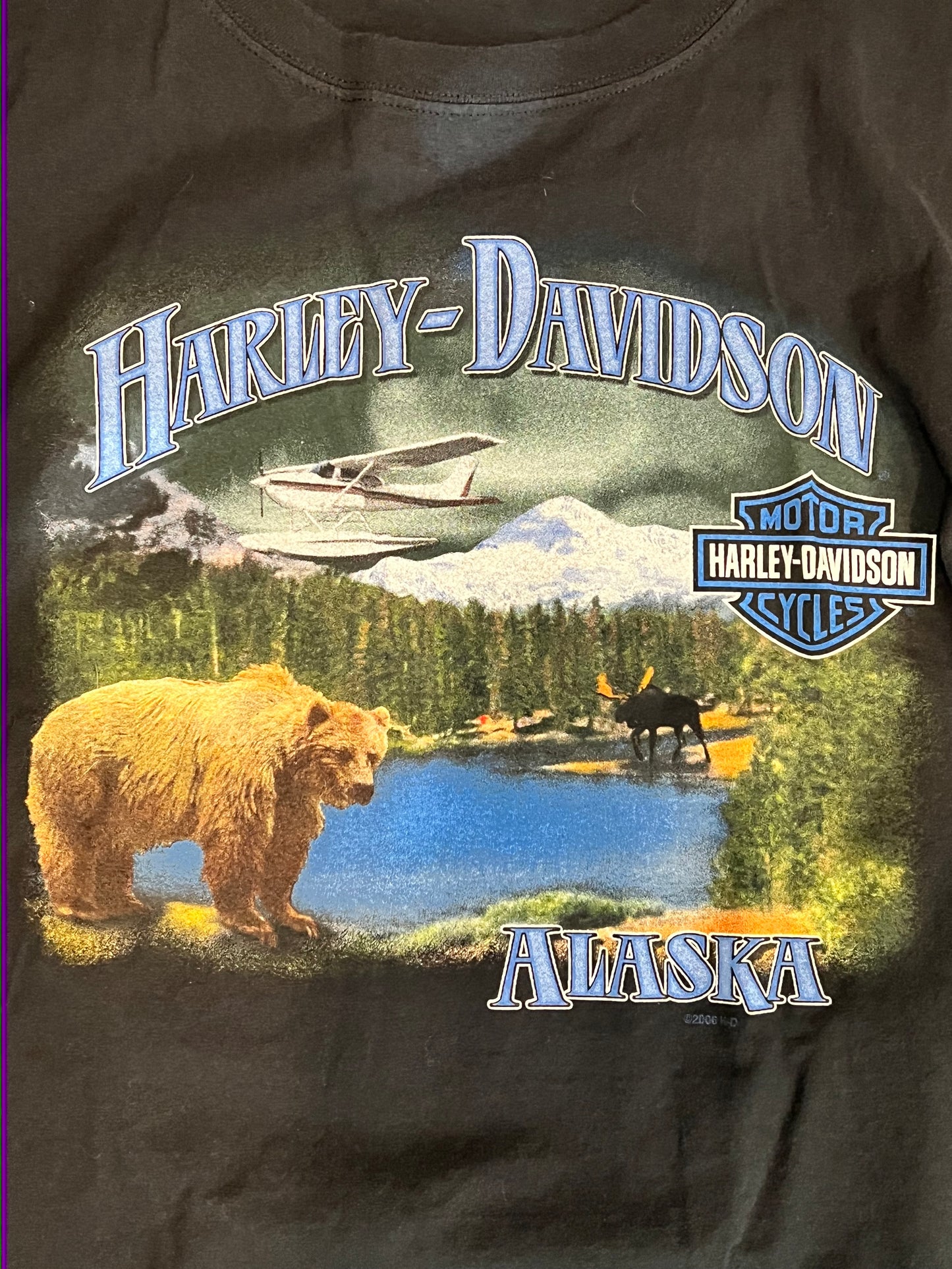 Vintage Harley Davidson “Alaska” Tee