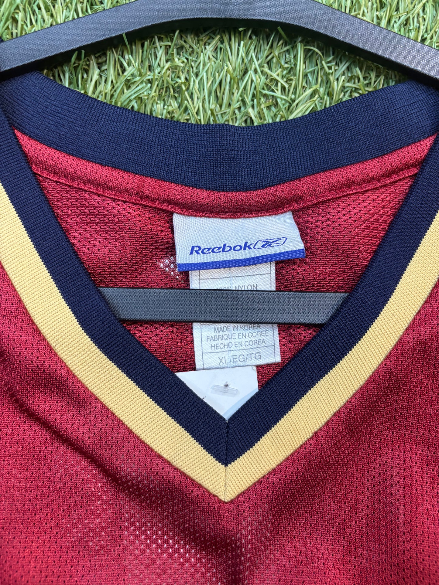Vintage LeBron James Cleveland Cavaliers Jersey