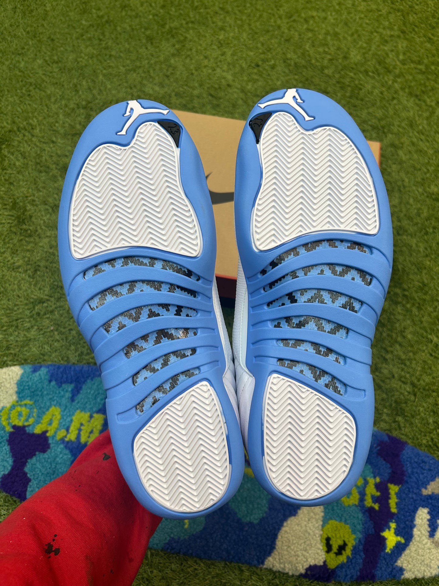 Jordan Retro 12 Melo