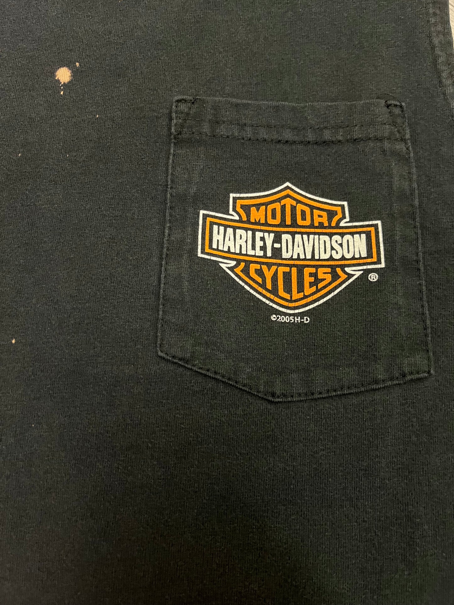 Vintage 2005 Harley Davidson CutOff