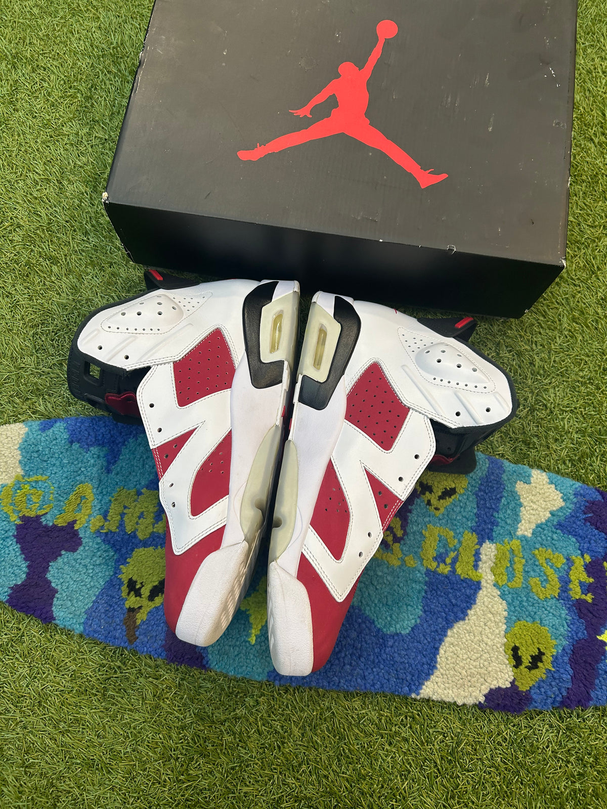 Retro Jordan 6 Carmine