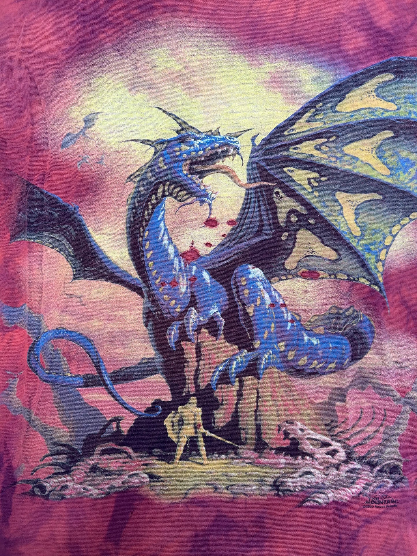 Y2K Thrashed Dragons Vs Knight Tee