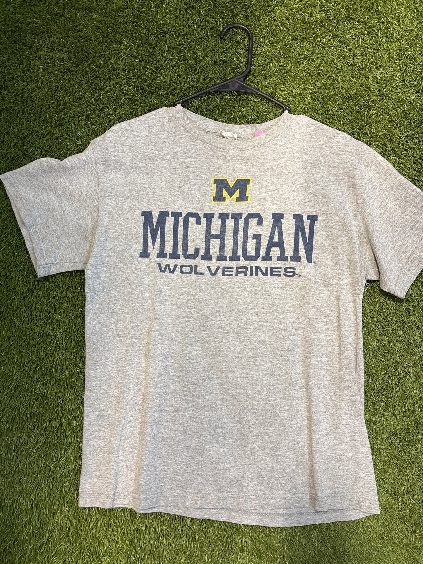 Michigan wolverines