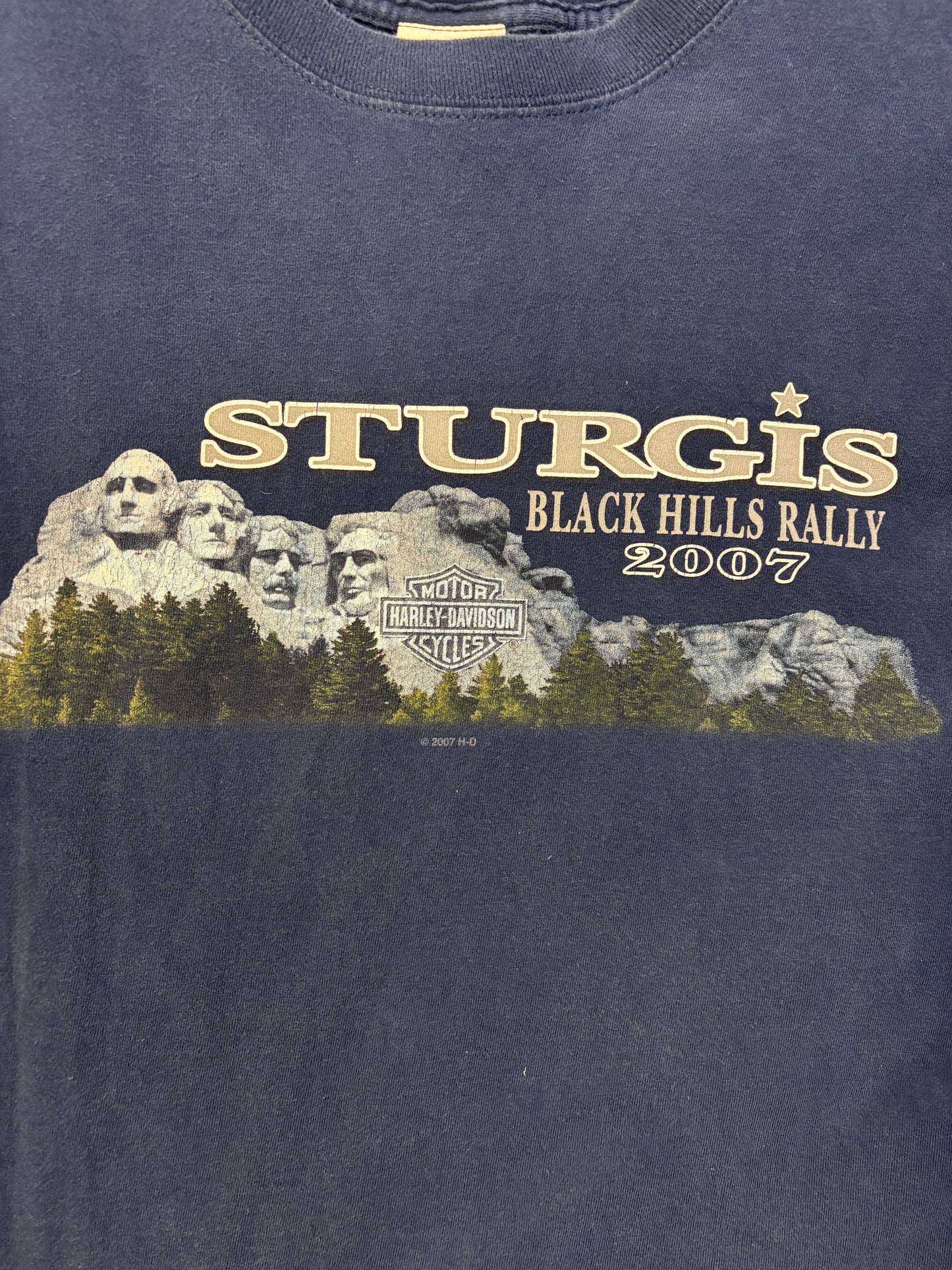 Harley Davidson sturgis South Dakota 20th anniversary