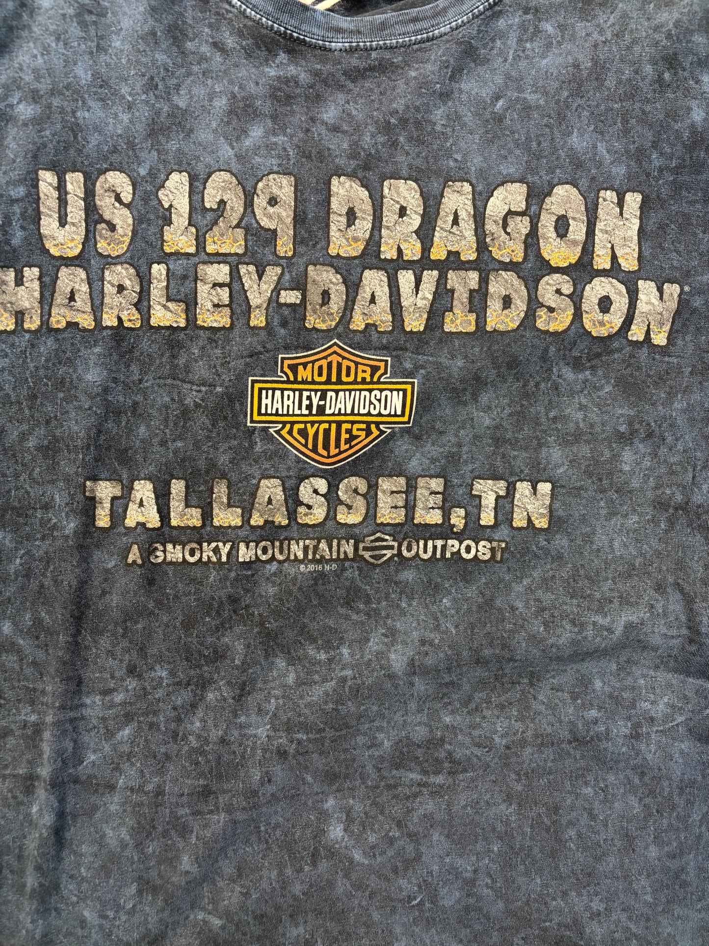 Harley Davidson Tallahassee “Don’t Get Bit”