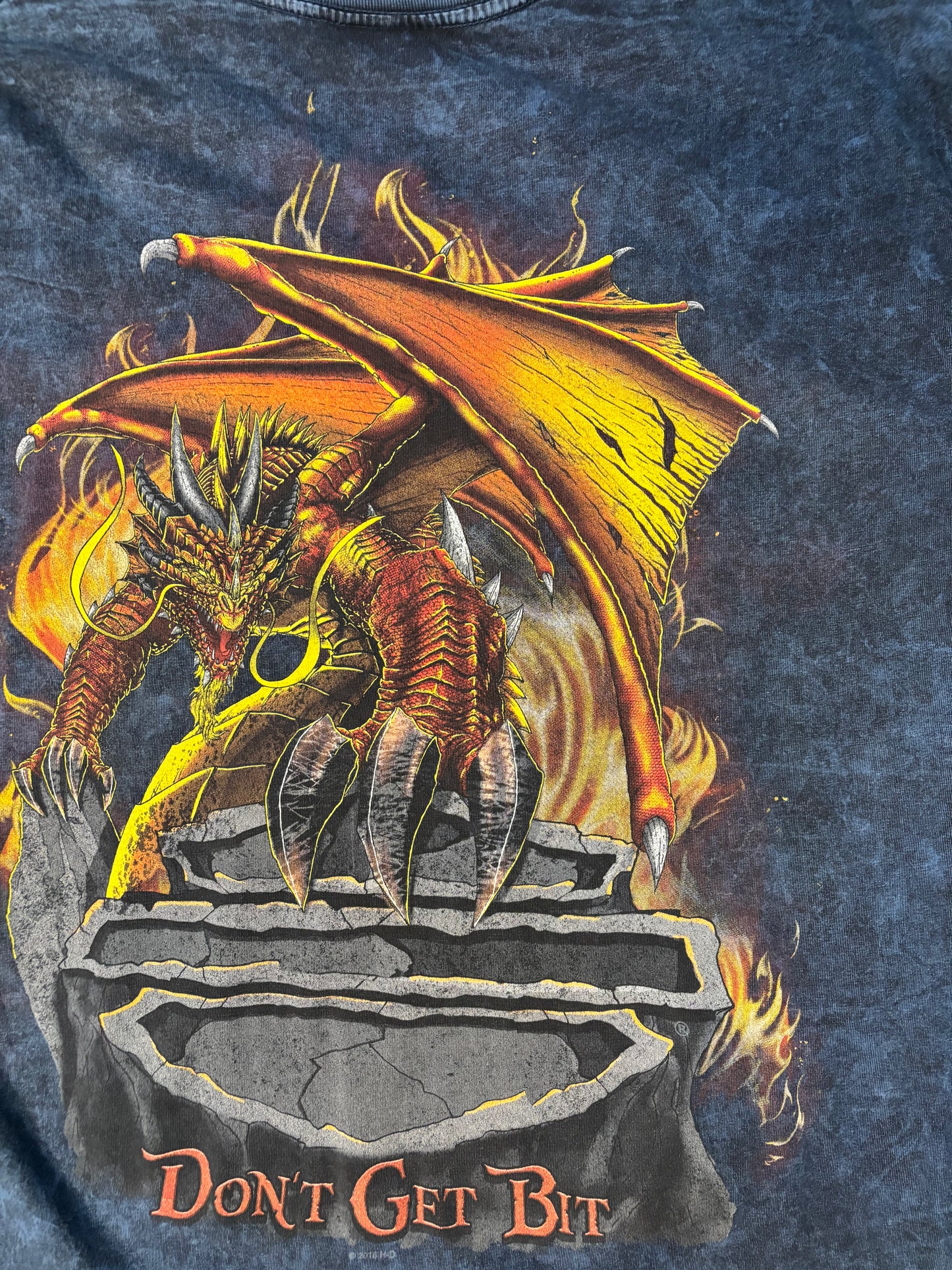 Harley Davidson Tallahassee “Don’t Get Bit”