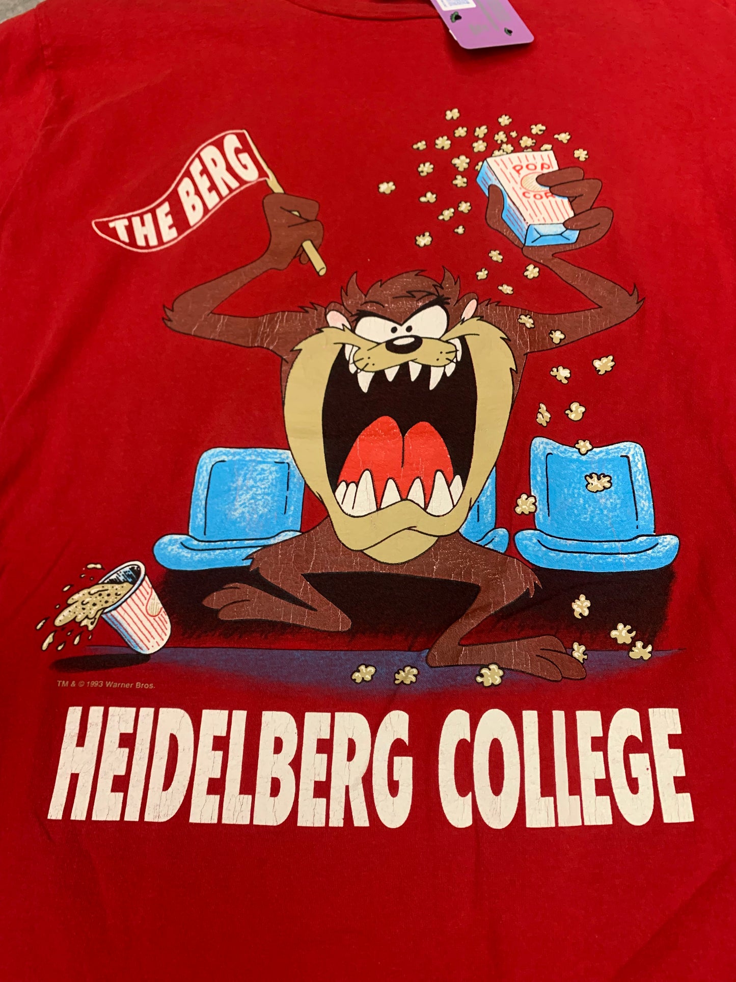 Vintage 1993 Heidelberg College tee