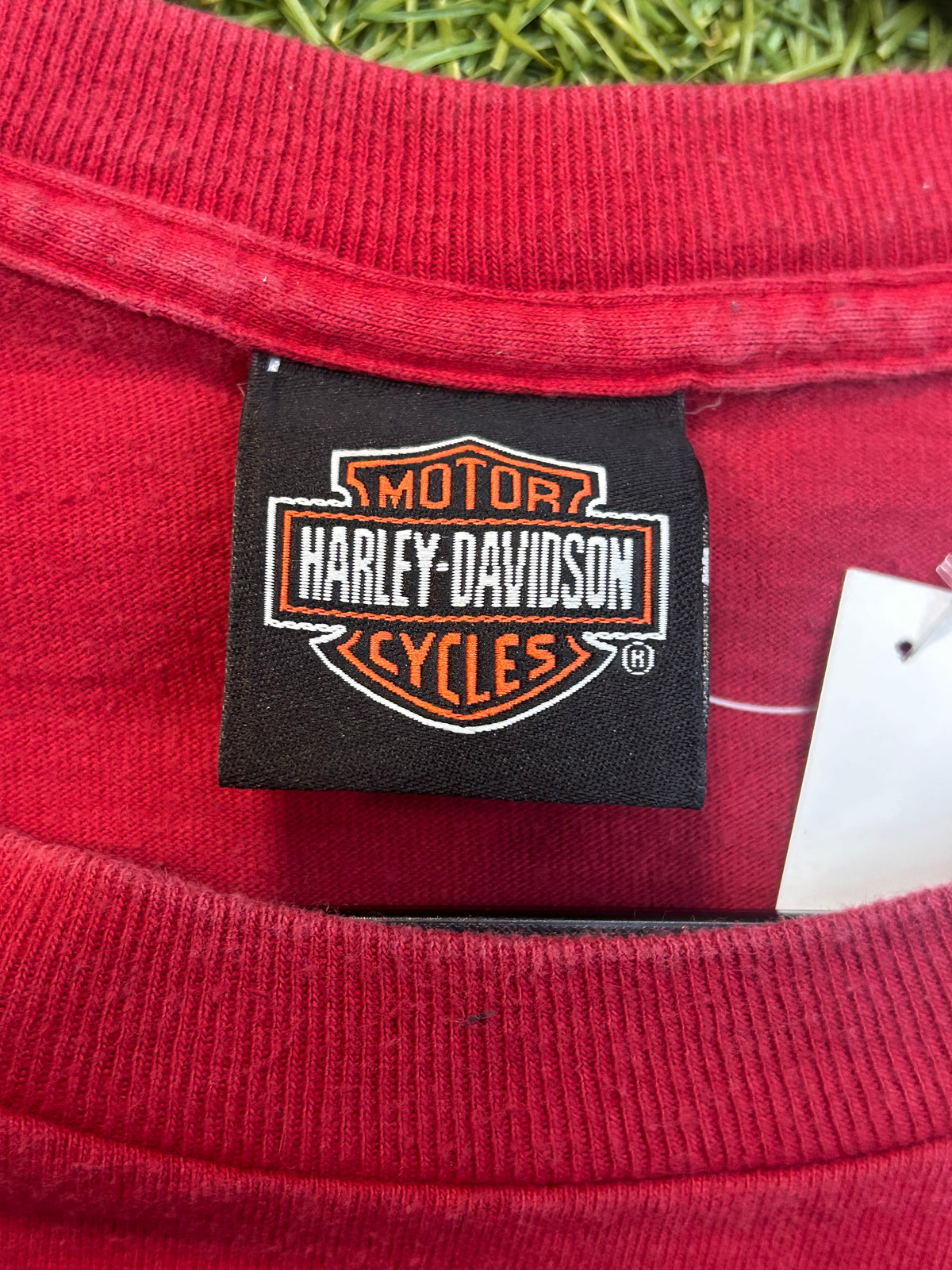Y2K Harley Davidson Florida Long Sleeve Skull Hit Tee